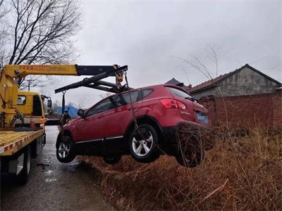 大洼楚雄道路救援